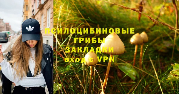 герыч Кулебаки