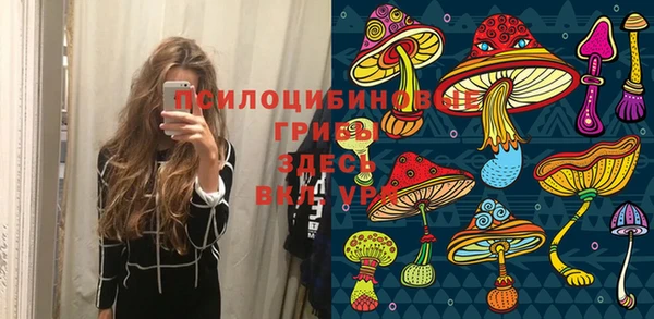 МДПВ Кукмор