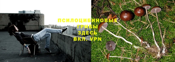 a pvp Куйбышев