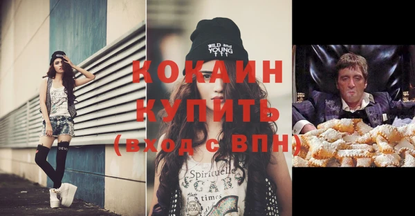 МДПВ Кукмор