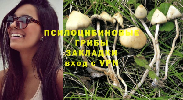 МДПВ Кукмор